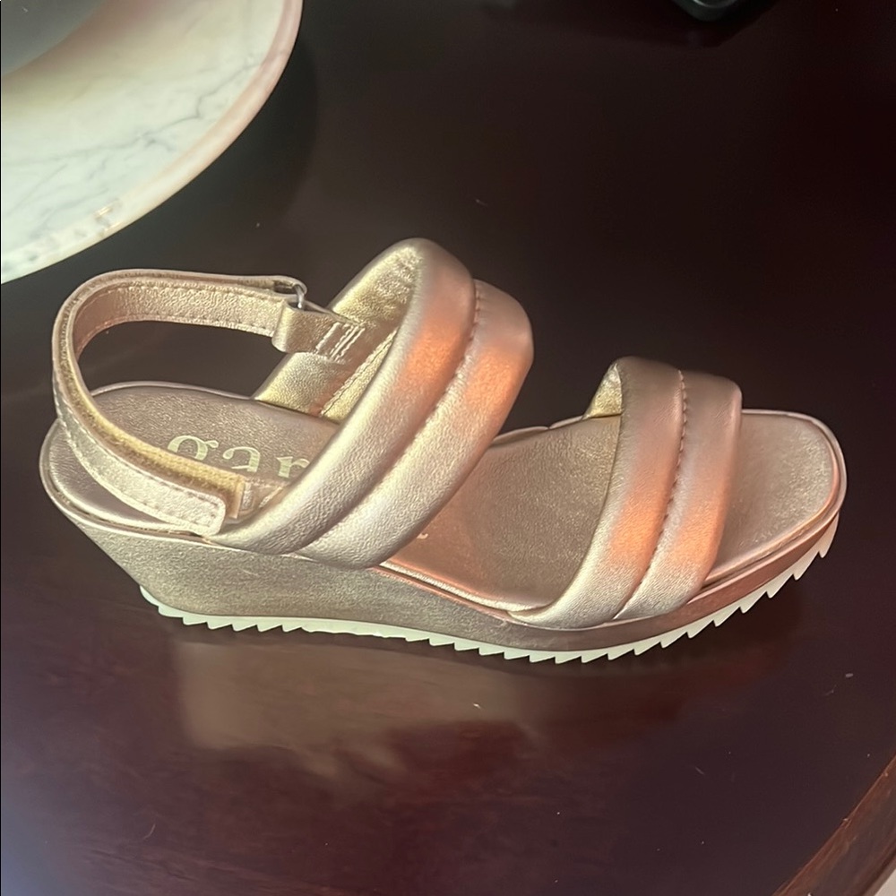 Pedro Garcia Gold Wedges with Sleek Straps